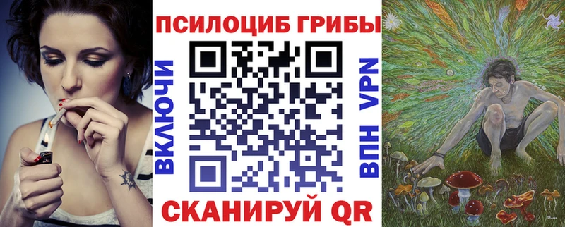 Купить  Гремячинск  Псилоцибиновые грибы Psilocybine cubensis 