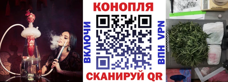 Купить где  Гремячинск  Конопля тримм 